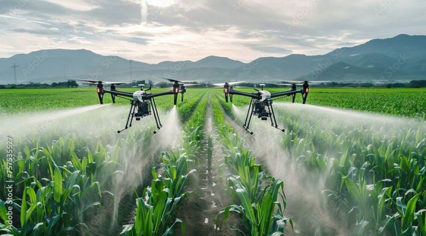 Root Power, Soil Strength – How This Fertility Booster Transforms Yields from the Ground Up