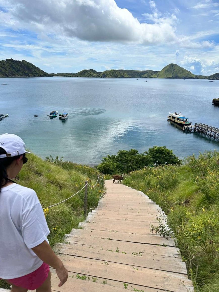 Begin Your Journey with Our Most Loved Tours
