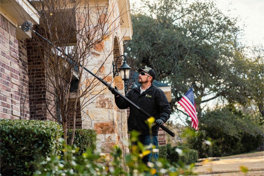 Seasonal Pest Guide: What to Expect in Waco Each Season