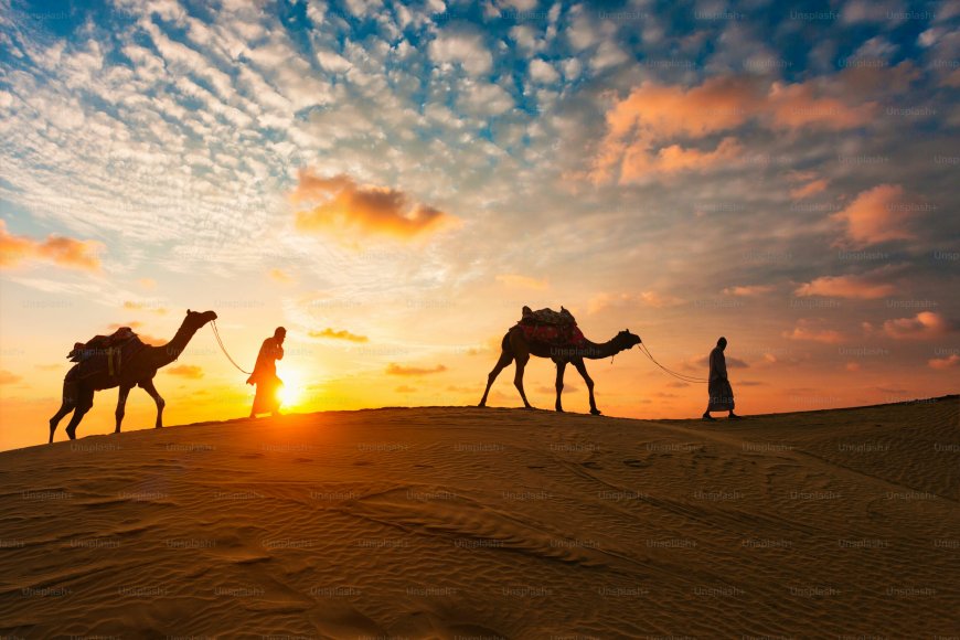 Best Morning Desert Safari Activities to Try