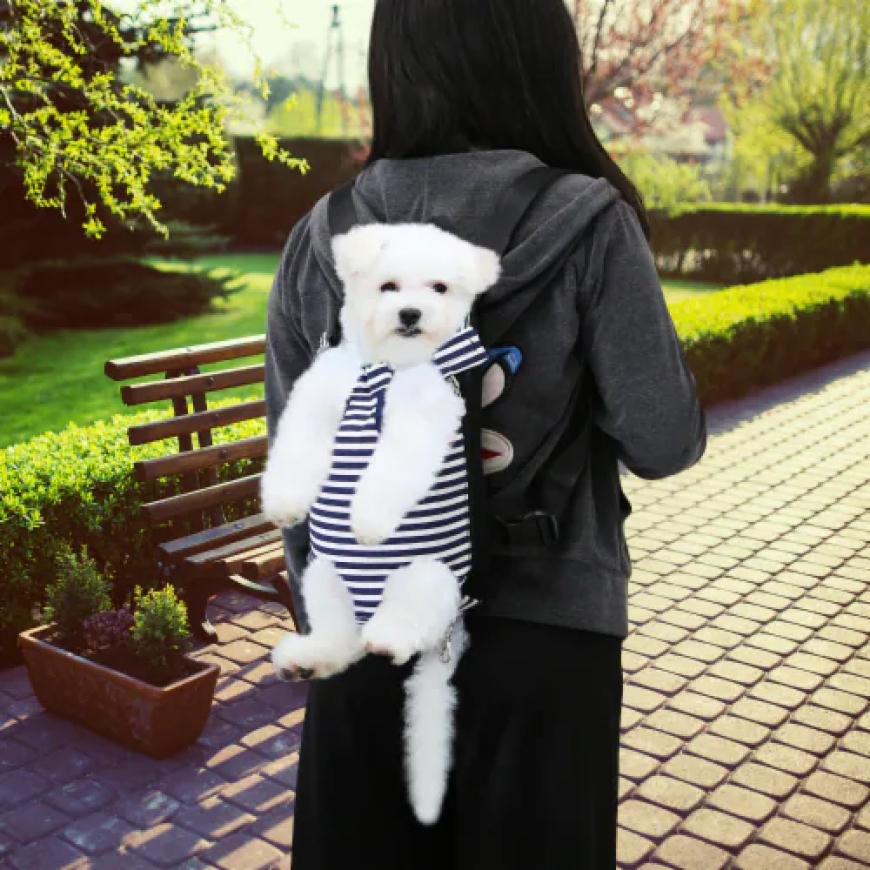 The Ultimate Guide to Choosing the Right Dog Travel Suitcase for Your Pet