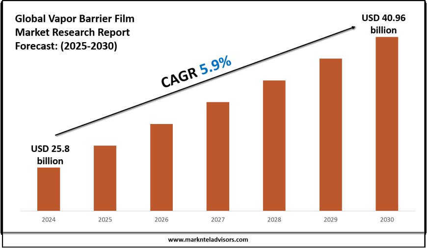 Vapor Barrier Film Market Forecast 2025–2030: Key Players, Trends & Outlook