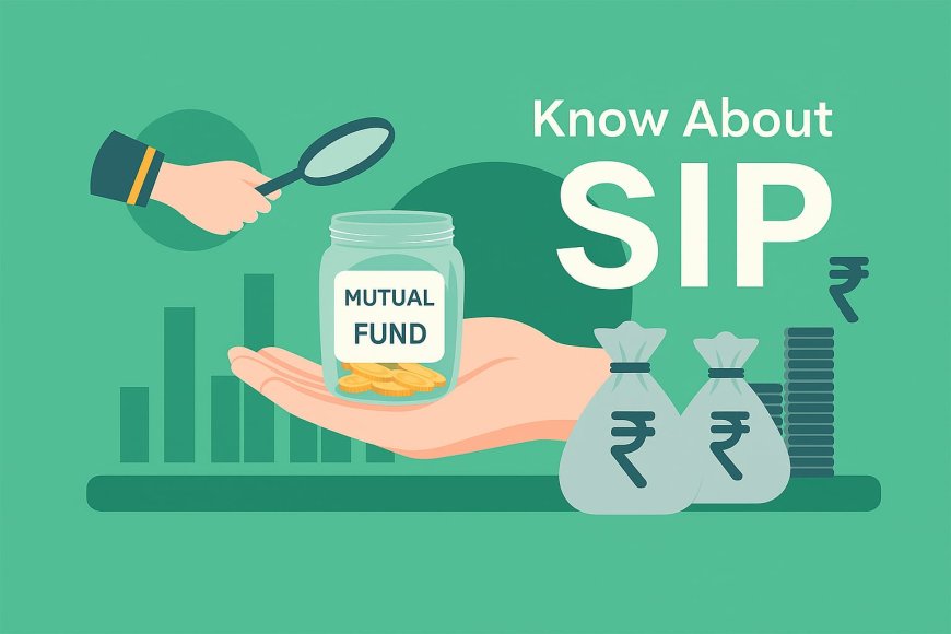 Want to Build Wealth Steadily? Here's the Mutual Fund Blueprint