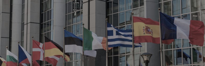 Placement Agents in Switzerland: Significance, Advantages and Regulatory Requirements
