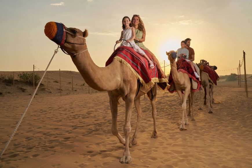 Dubai Desert Safari – The Ultimate Adventure in the Dunes