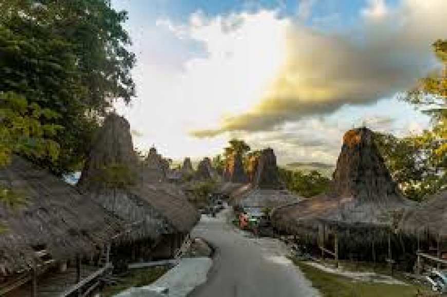 Which Travel and Tour Packages Offer the Best Value for Families?