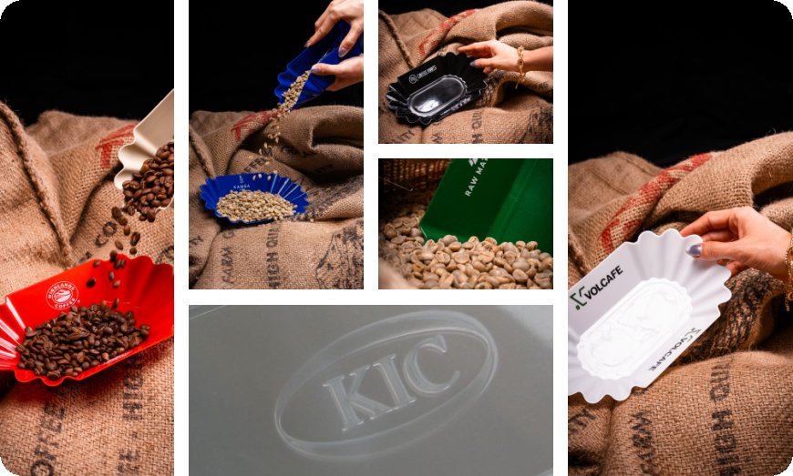 Best Professional Coffee Lab Trays for Experts