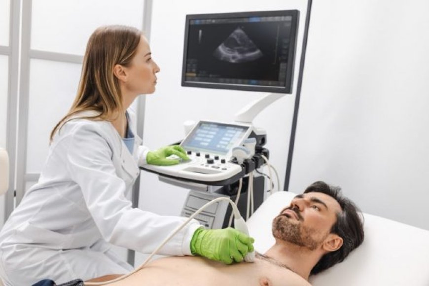 Full Body Checkup at Home: Cardiac, Liver, and Kidney Tests