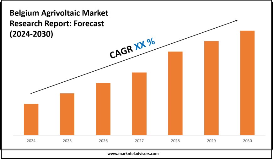 Belgium Agrivoltaic Market Scope, Volume and Executive Summary 2030