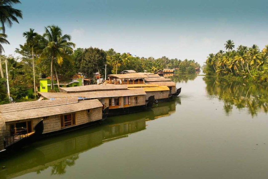 Munnar with Family: Kid-Friendly Activities & Scenic Spots