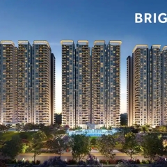 brigade avalon